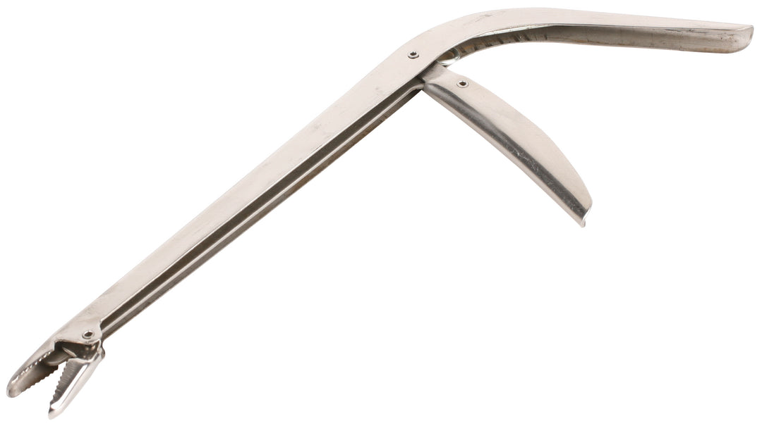 ZANGEN - ALIEN 28cm - 1 Stck.