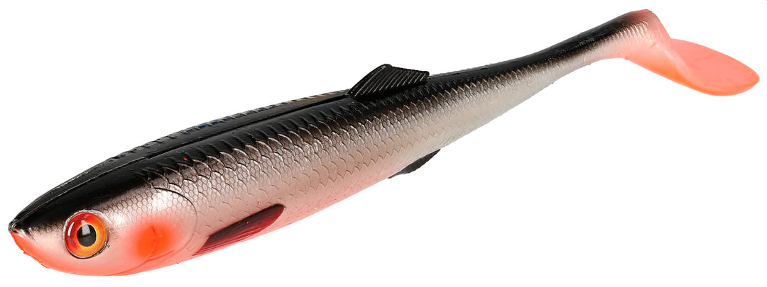 KÖDER - SICARIO 18cm/ROACH - 2 Stck.