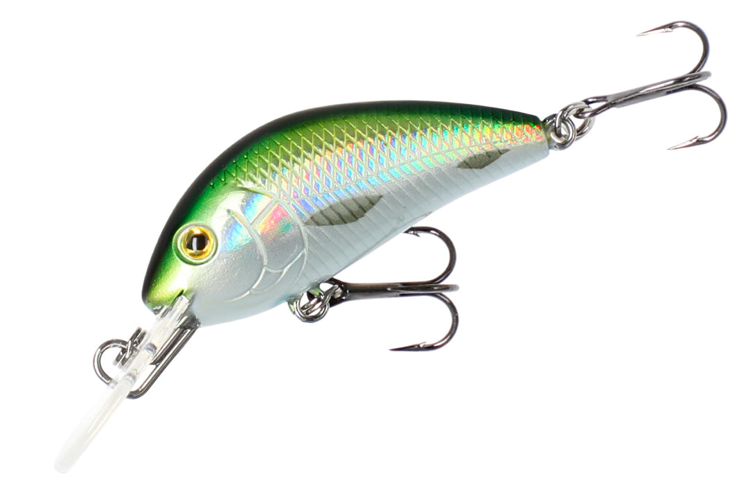 WOBBLER FISHUNTER CAVALIER - 4cm/OLIVE BLEAK - SCHWIMMEND - 1 Stck.
