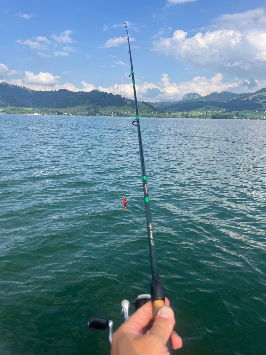 Warum ist es so schwierig, am Sihlsee einen Zander zu fangen?